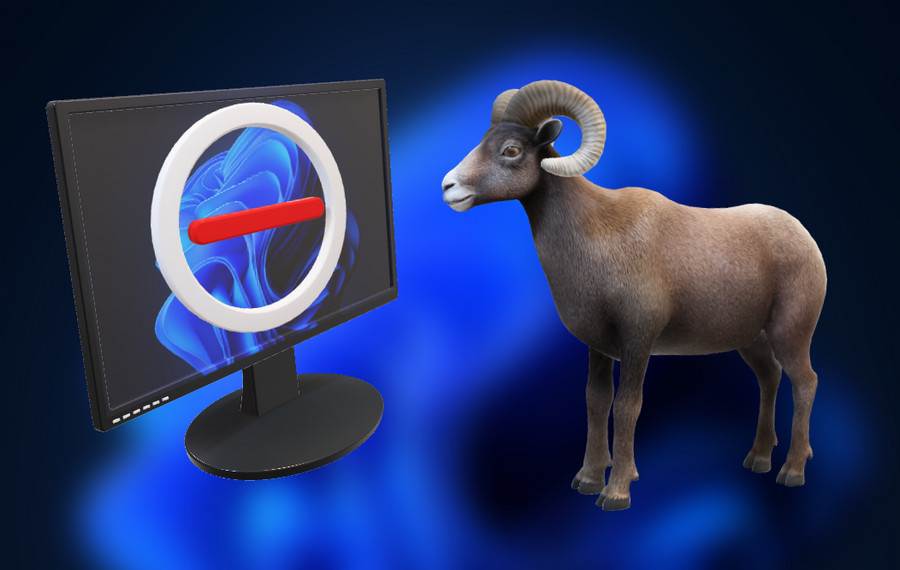 5 d0bdd0b5d0b4d0bed181d182d0b0d182d0bad0bed0b2 windows 11 65d25b5f2685f