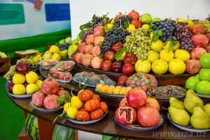 ALLЕRGIYADA TA’QIQLANGAN MAXSULOTLAR : 2 alld0b5rgiyada taqiqlangan