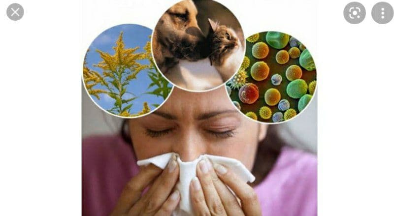 allergiya haqida batafsil haqida toliq malumot oling 65d0a1ac0d691