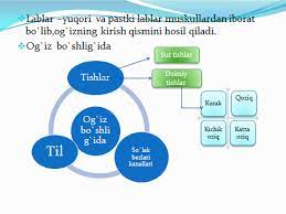 biologiya oqitishning faol metodlari 65ca8a4e04e1d