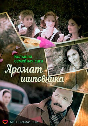 d0b0d180d0bed0bcd0b0d182 d188d0b8d0bfd0bed0b2d0bdd0b8d0bad0b0 d181d0bcd0bed182d180d0b5d182d18c d181d0b5d180d0b8d0b0d0bb d0bed0bdd0bb 65de5a439c2a7