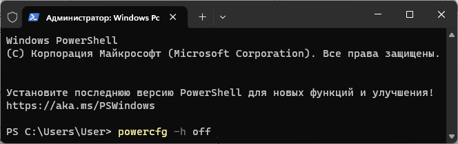 d0b1d18bd181d182d180d18bd0b9 d0b7d0b0d0bfd183d181d0ba windows 11 d0bed182d0bad0bbd18ed187d0b5d0bdd0b8d0b5 d0b8 d0b2d0bad0bbd18ed187d0b5 65d4241d16299