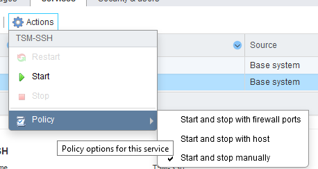 автозапуск службы ssh на vmware esxi