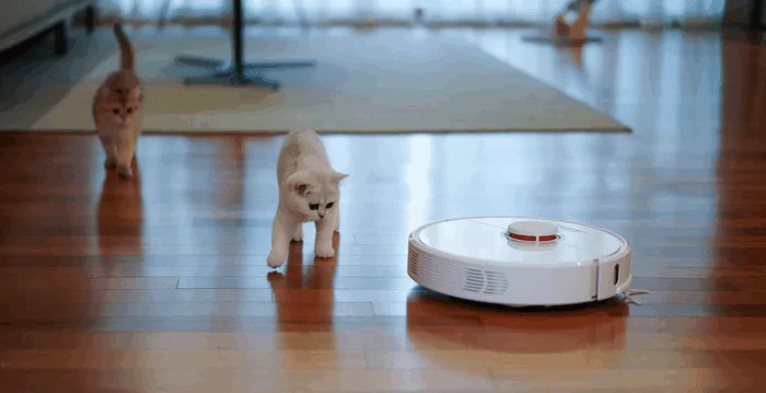 Должен ли стоять робот пылесос на базе всегда? 6 d0b4d0bed0bbd0b6d0b5d0bd d0bbd0b8 d181d182d0bed18fd182d18c d180d0bed0b1d0bed182 d0bfd18bd0bbd0b5d181d0bed181 d0bdd0b0 d0b1d0b0d0b7d0b5 65d9e278324a2