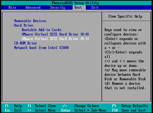 VMWare Bios - boot order - vmware virtual scsi hard drive