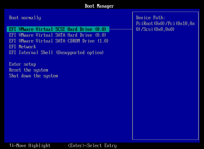 vmware - uefi - загрузка с efi vmware virtual scsi hard drive