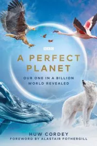 d0b8d0b4d0b5d0b0d0bbd18cd0bdd0b0d18f d0bfd0bbd0b0d0bdd0b5d182d0b0 1 d181d0b5d0b7d0bed0bd d181d0bcd0bed182d180d0b5d182d18c d0bed0bdd0bb 65d52cda49f39