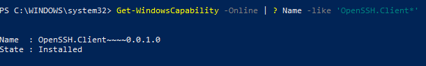 'OpenSSH.Client установка в windows 10