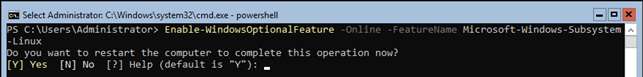 Enable-WindowsOptionalFeature -Online -FeatureName Microsoft-Windows-Subsystem-Linux 
