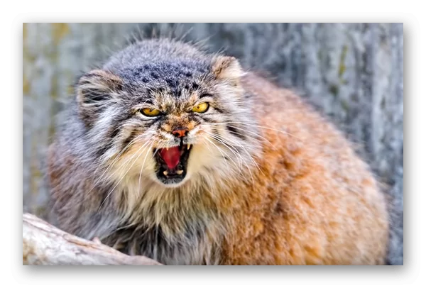 d0bad0b0d0ba d0b7d0b0d0b1d0bbd0bed0bad0b8d180d0bed0b2d0b0d182d18c d0bfd0bed0bbd18cd0b7d0bed0b2d0b0d182d0b5d0bbd18f d0bdd0b0 d0b0d0b2 65d9f1f47a352