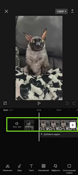 d0bad0b0d0ba d0bed0b1d180d0b5d0b7d0b0d182d18c d0b2d0b8d0b4d0b5d0be d0b2 d0bad0b0d0bf d0bad183d182 65d9da82b96ab