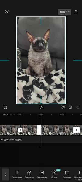 d0bad0b0d0ba d0bed0b1d180d0b5d0b7d0b0d182d18c d0b2d0b8d0b4d0b5d0be d0b2 d0bad0b0d0bf d0bad183d182 65d9da83859db