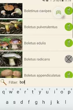 d0bad0b0d0ba d0bed0bfd180d0b5d0b4d0b5d0bbd0b8d182d18c d187d182d0be d0b7d0b0 d0b3d180d0b8d0b1 d0bfd0be d184d0bed182d0be 65d9fc6b411ca