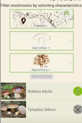 d0bad0b0d0ba d0bed0bfd180d0b5d0b4d0b5d0bbd0b8d182d18c d187d182d0be d0b7d0b0 d0b3d180d0b8d0b1 d0bfd0be d184d0bed182d0be 65d9fc6b90da9