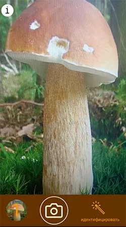 d0bad0b0d0ba d0bed0bfd180d0b5d0b4d0b5d0bbd0b8d182d18c d187d182d0be d0b7d0b0 d0b3d180d0b8d0b1 d0bfd0be d184d0bed182d0be 65d9fc6bc2359