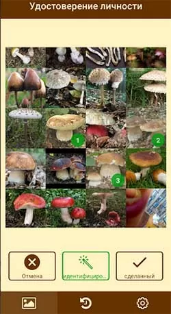 d0bad0b0d0ba d0bed0bfd180d0b5d0b4d0b5d0bbd0b8d182d18c d187d182d0be d0b7d0b0 d0b3d180d0b8d0b1 d0bfd0be d184d0bed182d0be 65d9fc6be2236