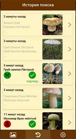 d0bad0b0d0ba d0bed0bfd180d0b5d0b4d0b5d0bbd0b8d182d18c d187d182d0be d0b7d0b0 d0b3d180d0b8d0b1 d0bfd0be d184d0bed182d0be 65d9fc6c18cfa