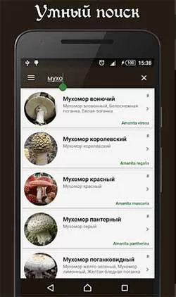 d0bad0b0d0ba d0bed0bfd180d0b5d0b4d0b5d0bbd0b8d182d18c d187d182d0be d0b7d0b0 d0b3d180d0b8d0b1 d0bfd0be d184d0bed182d0be 65d9fc6c8acb9