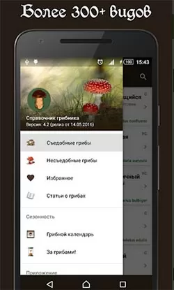 d0bad0b0d0ba d0bed0bfd180d0b5d0b4d0b5d0bbd0b8d182d18c d187d182d0be d0b7d0b0 d0b3d180d0b8d0b1 d0bfd0be d184d0bed182d0be 65d9fc6cb144b