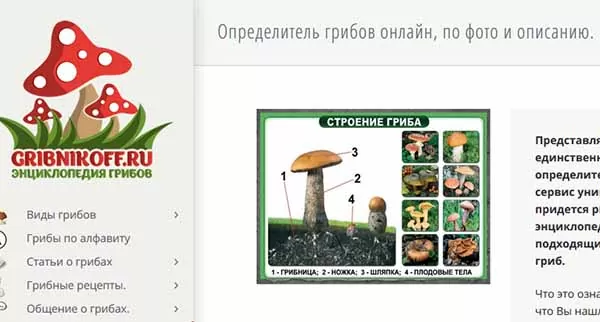 d0bad0b0d0ba d0bed0bfd180d0b5d0b4d0b5d0bbd0b8d182d18c d187d182d0be d0b7d0b0 d0b3d180d0b8d0b1 d0bfd0be d184d0bed182d0be 65d9fc6d06944