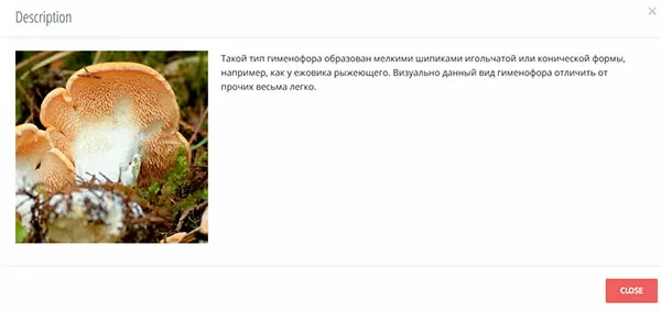 d0bad0b0d0ba d0bed0bfd180d0b5d0b4d0b5d0bbd0b8d182d18c d187d182d0be d0b7d0b0 d0b3d180d0b8d0b1 d0bfd0be d184d0bed182d0be 65d9fc6d57bef