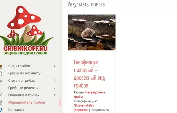 d0bad0b0d0ba d0bed0bfd180d0b5d0b4d0b5d0bbd0b8d182d18c d187d182d0be d0b7d0b0 d0b3d180d0b8d0b1 d0bfd0be d184d0bed182d0be 65d9fc6da6b4a