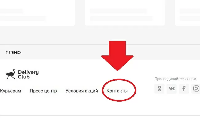 d0bad0b0d0ba d0bed182d0bcd0b5d0bdd0b8d182d18c d0b7d0b0d0bad0b0d0b7 d0b2 d0b4d0b5d0bbd0b8d0b2d0b5d180d0b8 d0bad0bbd0b0d0b1 65d9fa11af1d6
