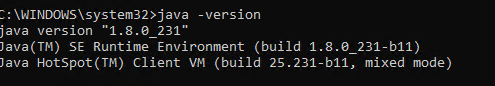 java -version