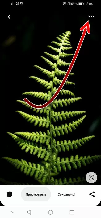 d0bad0b0d0ba d183d0b4d0b0d0bbd0b8d182d18c d181d0bed185d180d0b0d0bdd0b5d0bdd0bdd18bd0b5 d0bfd0b8d0bdd18b d0b2 d0bfd0b8d0bdd182d0b5d180 65d9e8a97f5a3