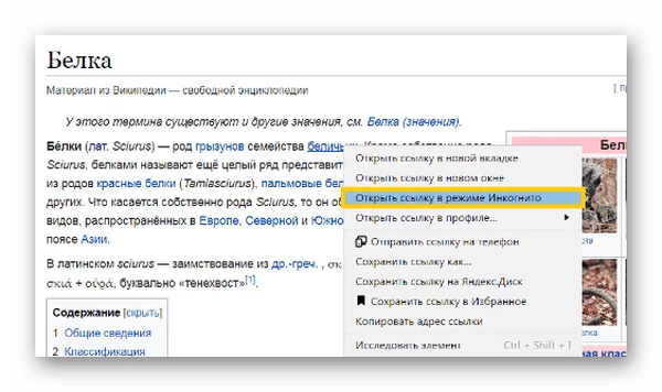 d0bad0b0d0ba d183d0b7d0bdd0b0d182d18c d0b2d0b5d180d181d0b8d18e d18fd0bdd0b4d0b5d0bad181 d0b1d180d0b0d183d0b7d0b5d180d0b0 d0bdd0b0 d0ba 65d9e4a887cdf