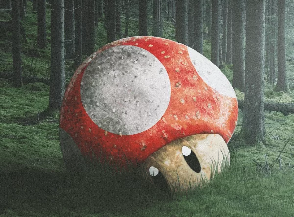 d0bad0b0d0ba d183d181d182d0b0d0bdd0bed0b2d0b8d182d18c d0b8d0b3d180d18b d0bdd0b0 d0bdd0b8d0bdd182d0b5d0bdd0b4d0be d181d0b2d0b8d182d187 65d9e1ac8d7fa