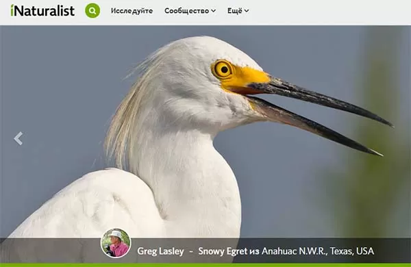 d0bdd0b0d0b9d182d0b8 d0b2d0b5d189d18c d0bfd0be d184d0bed182d0be d0b2 d0b8d0bdd182d0b5d180d0bdd0b5d182d0b5 65d9fd38404ef