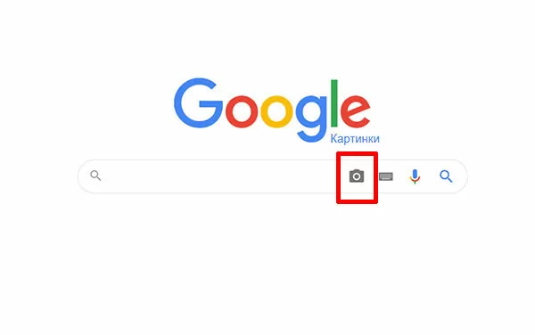 d0bdd0b0d0b9d182d0b8 d0b4d0b5d0b2d183d188d0bad183 d0bfd0be d184d0bed182d0be 65d9fbff9c69b