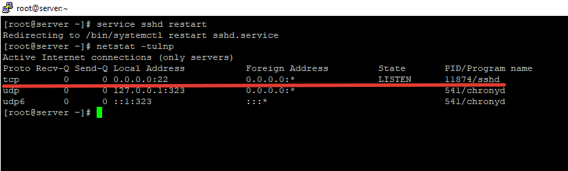 netstat только ipv4 без ipv6