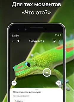 d0bed0bfd180d0b5d0b4d0b5d0bbd0b8d182d18c d0bfd180d0b5d0b4d0bcd0b5d182 d0bfd0be d184d0bed182d0be 65d9fc79635ae