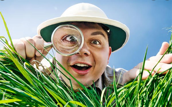 d0bed0bfd180d0b5d0b4d0b5d0bbd0b8d182d18c d180d0b0d181d182d0b5d0bdd0b8d0b5 d0bfd0be d184d0bed182d0be d0bed0bdd0bbd0b0d0b9d0bd 65d9fd9f2ed81