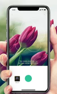 d0bed0bfd180d0b5d0b4d0b5d0bbd0b8d182d18c d180d0b0d181d182d0b5d0bdd0b8d0b5 d0bfd0be d184d0bed182d0be d0bed0bdd0bbd0b0d0b9d0bd 65d9fd9f5da79