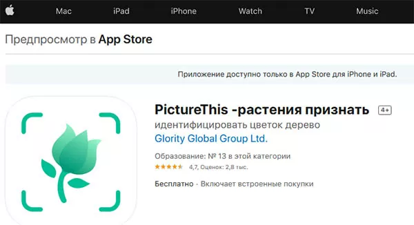 d0bed0bfd180d0b5d0b4d0b5d0bbd0b8d182d18c d180d0b0d181d182d0b5d0bdd0b8d0b5 d0bfd0be d184d0bed182d0be d0bed0bdd0bbd0b0d0b9d0bd 65d9fd9f80c46