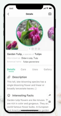 d0bed0bfd180d0b5d0b4d0b5d0bbd0b8d182d18c d180d0b0d181d182d0b5d0bdd0b8d0b5 d0bfd0be d184d0bed182d0be d0bed0bdd0bbd0b0d0b9d0bd 65d9fd9f9bf43