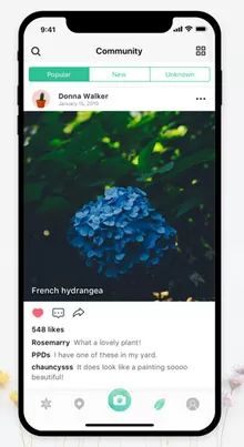 d0bed0bfd180d0b5d0b4d0b5d0bbd0b8d182d18c d180d0b0d181d182d0b5d0bdd0b8d0b5 d0bfd0be d184d0bed182d0be d0bed0bdd0bbd0b0d0b9d0bd 65d9fd9fb702a