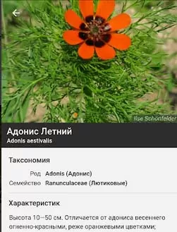 d0bed0bfd180d0b5d0b4d0b5d0bbd0b8d182d18c d180d0b0d181d182d0b5d0bdd0b8d0b5 d0bfd0be d184d0bed182d0be d0bed0bdd0bbd0b0d0b9d0bd 65d9fd9ff306f