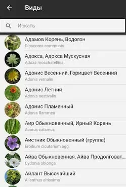 d0bed0bfd180d0b5d0b4d0b5d0bbd0b8d182d18c d180d0b0d181d182d0b5d0bdd0b8d0b5 d0bfd0be d184d0bed182d0be d0bed0bdd0bbd0b0d0b9d0bd 65d9fda0221ef