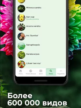 d0bed0bfd180d0b5d0b4d0b5d0bbd0b8d182d18c d180d0b0d181d182d0b5d0bdd0b8d0b5 d0bfd0be d184d0bed182d0be d0bed0bdd0bbd0b0d0b9d0bd 65d9fda046dc3