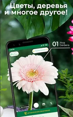 d0bed0bfd180d0b5d0b4d0b5d0bbd0b8d182d18c d180d0b0d181d182d0b5d0bdd0b8d0b5 d0bfd0be d184d0bed182d0be d0bed0bdd0bbd0b0d0b9d0bd 65d9fda066d6e