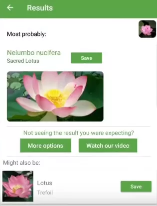 d0bed0bfd180d0b5d0b4d0b5d0bbd0b8d182d18c d180d0b0d181d182d0b5d0bdd0b8d0b5 d0bfd0be d184d0bed182d0be d0bed0bdd0bbd0b0d0b9d0bd 65d9fda09ef01