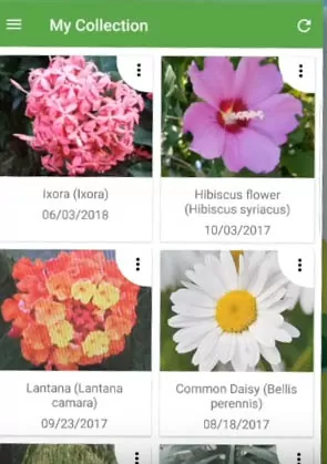 d0bed0bfd180d0b5d0b4d0b5d0bbd0b8d182d18c d180d0b0d181d182d0b5d0bdd0b8d0b5 d0bfd0be d184d0bed182d0be d0bed0bdd0bbd0b0d0b9d0bd 65d9fda0bff38