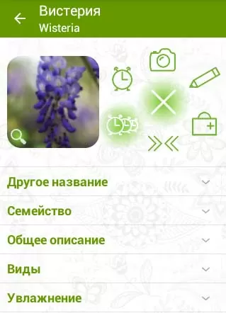 d0bed0bfd180d0b5d0b4d0b5d0bbd0b8d182d18c d180d0b0d181d182d0b5d0bdd0b8d0b5 d0bfd0be d184d0bed182d0be d0bed0bdd0bbd0b0d0b9d0bd 65d9fda1567df