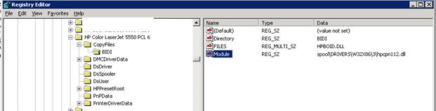 Ветка реестра bidi в параметрах общего сетевого принтера HP