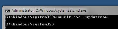 wuauclt.exe /updatenow