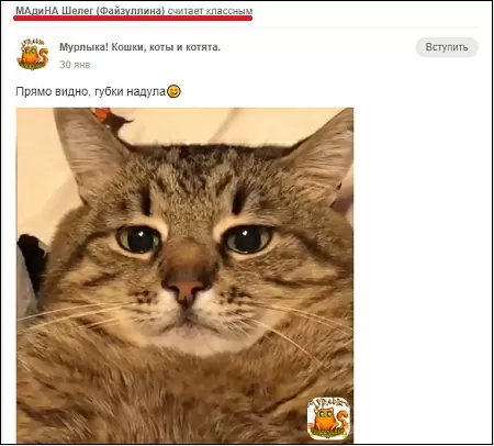 Почему в Одноклассниках в ленте отображается человек, которого нет в друзьях 8 d0bfd0bed187d0b5d0bcd183 d0b2 d0bed0b4d0bdd0bed0bad0bbd0b0d181d181d0bdd0b8d0bad0b0d185 d0b2 d0bbd0b5d0bdd182d0b5 d0bed182d0bed0b1d180 65d9ee8968a2a